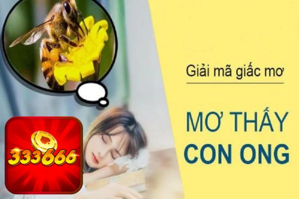 Nằm mơ thấy tổ ong đánh lô đề số mấy 333666