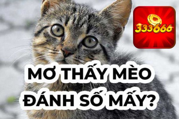 333666 Giải đáp mơ thấy mèo đánh con gì